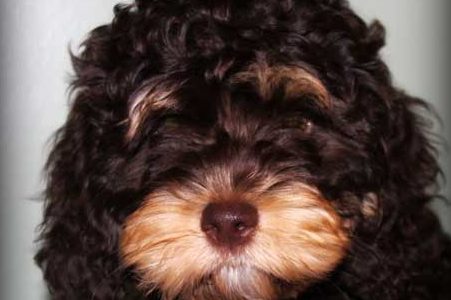 lady bug profile e1552248002137