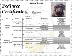 pedigree baloo