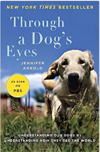 through a dogs eyes